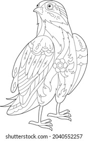 Lineare Illustration für das Farbbuch mit dekorativem Falkon. Schöner Raubvogel, Anti-Stress-Bild. Line Art Design für Erwachsene oder Kinder in Zen-Tangle Stil, Tatoo und Farbgebung Seite.