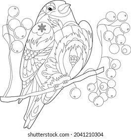 Contour linear illustration for coloring book with decorative bullfinch. Pretty Christmas bird,  anti stress picture. Line art design for adult or kids  in zen-tangle style, tatoo and coloring page.