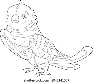 Contour linear illustration for coloring book with decorative parrot. Beautiful predatory  bird,  anti stress picture. Line art design for adult or kids  in zen-tangle style, tatoo and coloring page.