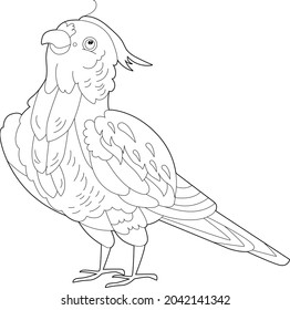 Contour linear illustration for coloring book with decorative parrot. Beautiful predatory  bird,  anti stress picture. Line art design for adult or kids  in zen-tangle style, tatoo and coloring page.