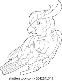 Contour linear illustration for coloring book with decorative parrot. Beautiful predatory  bird,  anti stress picture. Line art design for adult or kids  in zen-tangle style, tatoo and coloring page.