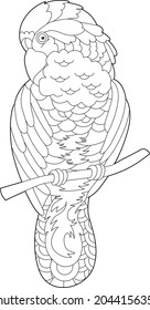 Contour linear illustration for coloring book with decorative parrot. Beautiful tropic bird,  anti stress picture. Line art design for adult or kids  in zen-tangle style, tattoo and coloring page.