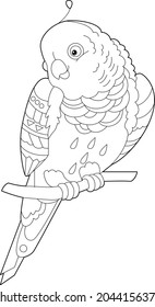 Contour linear illustration for coloring book with decorative parrot. Beautiful tropic bird,  anti stress picture. Line art design for adult or kids  in zen-tangle style, tattoo and coloring page.