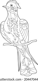 Contour linear illustration for coloring book with decorative paradise bird. Beautiful bird,  anti stress picture. Line art design for adult or kids  in zen-tangle style, tatoo and coloring page.