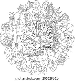 Contour linear illustration for coloring book with paradise bird in flowers. Tropic bird,  anti stress picture. Line art design for adult or kids  in zen-tangle style, tattoo and coloring page.