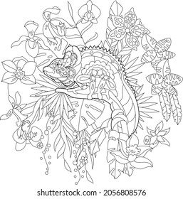 Contour linear illustration for coloring book with chameleon in flowers. Tropic reptile,  anti stress picture. Line art design for adult or kids  in zen-tangle style, tattoo and coloring page.
