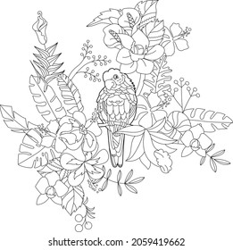 Contour linear illustration for coloring book with paradise bird in flowers. Tropic parrot,  anti stress picture. Line art design for adult or kids  in zen-tangle style, tattoo and coloring page.
