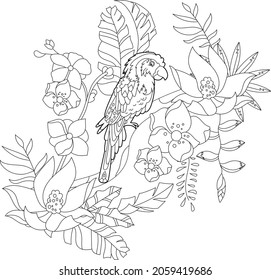 Contour linear illustration for coloring book with paradise bird in flowers. Tropic parrot,  anti stress picture. Line art design for adult or kids  in zen-tangle style, tattoo and coloring page.