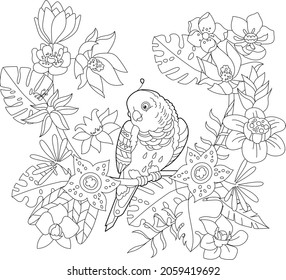 Dibujo lineal de contorno para el libro de colorear con ave paradisíaca en flores. Loro tropical, foto anti estrés. Diseño de líneas de arte para adultos o niños en estilo zen-margle, tatuajes y página de coloreo.