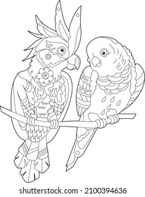 Contour linear illustration for coloring book with two pretty birds. Beautiful cute couple,  anti stress picture. Line art design for adult or kids  in zen-tangle style, tattoo and coloring page