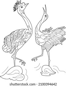 Contour linear illustration for coloring book with two pretty birds. Beautiful cute couple,  anti stress picture. Line art design for adult or kids  in zen-tangle style, tattoo and coloring page