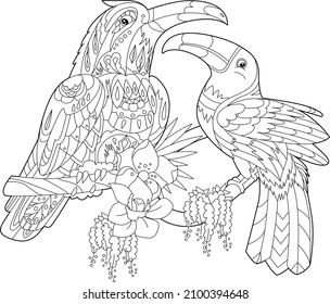 Contour linear illustration for coloring book with two pretty birds. Beautiful cute couple,  anti stress picture. Line art design for adult or kids  in zen-tangle style, tattoo and coloring page