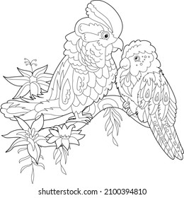 Contour linear illustration for coloring book with two pretty birds. Beautiful cute couple,  anti stress picture. Line art design for adult or kids  in zen-tangle style, tattoo and coloring page