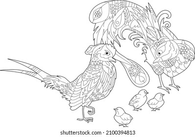 Contour linear illustration for coloring book with two pretty birds. Beautiful cute couple,  anti stress picture. Line art design for adult or kids  in zen-tangle style, tattoo and coloring page