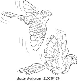 Contour linear illustration for coloring book with two pretty birds. Beautiful cute couple,  anti stress picture. Line art design for adult or kids  in zen-tangle style, tattoo and coloring page