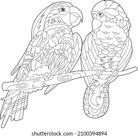 Contour linear illustration for coloring book with two pretty birds. Beautiful cute couple,  anti stress picture. Line art design for adult or kids  in zen-tangle style, tattoo and coloring page