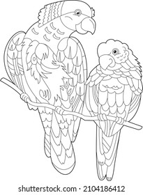 Contour linear illustration for coloring book with two pretty birds. Beautiful cute couple,  anti stress picture. Line art design for adult or kids  in zen-tangle style, tattoo and coloring page