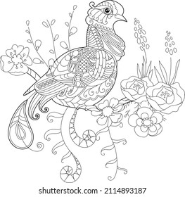 Contour linear illustration for coloring book with paradise bird in flowers. Tropic bird, anti stress picture. Line art design for adult or kids in zen-tangle style, tattoo and coloring page.