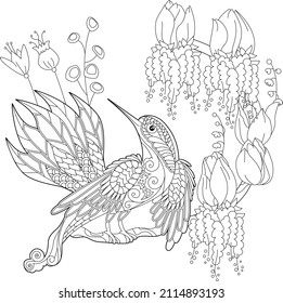 Dibujo lineal de contorno para el libro de colorear con ave paradisíaca en flores. Ave tropical, foto anti estrés. Diseño de líneas de arte para adultos o niños en estilo zen-margle, tatuajes y página de coloreo.