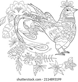 Contour linear illustration for coloring book with pheasant bird in flowers. Tropic bird, anti stress picture. Line art design for adult or kids in zen-tangle style, tattoo and coloring page.