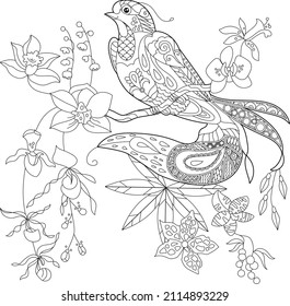 4,985 Coloring Page Tropical Birds Images, Stock Photos & Vectors ...