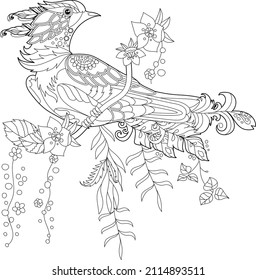 Dibujo lineal de contorno para el libro de colorear con ave paradisíaca en flores. Ave tropical, foto anti estrés. Diseño de líneas de arte para adultos o niños en estilo zen-margle, tatuajes y página de coloreo.