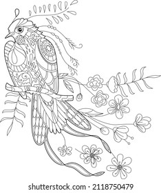 Contour linear illustration for coloring book with paradise bird in flowers. Tropic bird, anti stress picture. Line art design for adult or kids in zen-tangle style, tattoo and coloring page.