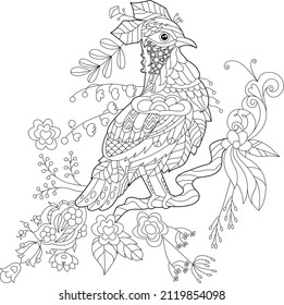 Contour linear illustration for coloring book with paradise bird in flowers. Tropic bird, anti stress picture. Line art design for adult or kids in zen-tangle style, tattoo and coloring page.