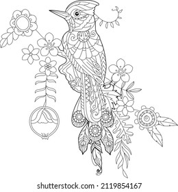 Dibujo lineal de contorno para el libro de colorear con ave paradisíaca en flores. Ave tropical, foto anti estrés. Diseño de líneas de arte para adultos o niños en estilo zen-margle, tatuajes y página de coloreo.