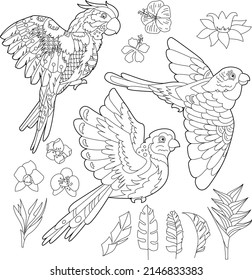 Dibujo lineal de contorno para libro de coloreo con loro decorativo. Hermoso pájaro, foto anti estrés. Diseño de líneas de arte para adultos o niños en estilo zen-margle, tatuaje y página de colorear.