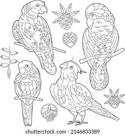 Contour linear illustration for coloring book with decorative parrot. Beautiful bird, anti stress picture. Line art design for adult or kids in zen-tangle style, tatoo and coloring page.