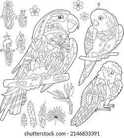 Contour linear illustration for coloring book with decorative parrot. Beautiful bird, anti stress picture. Line art design for adult or kids in zen-tangle style, tatoo and coloring page.