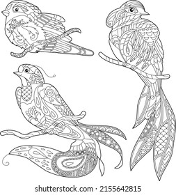 Contour linear illustration for coloring book with decorative paradise bird. Beautiful tropic bird. Line art design for adult or kids in zen-tangle style, tattoo and coloring page.