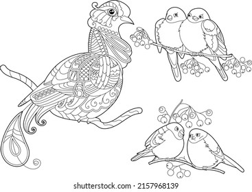 Contour linear illustration for coloring book with decorative paradise birds. Beautiful dove bird. Line art design for adult or kids in zen-tangle style, tattoo and coloring page.
