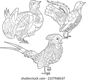Contour linear illustration for coloring book with decorative forest birds. Beautiful wild birds. Line art design for adult or kids in zen-tangle style, tattoo and coloring page.
