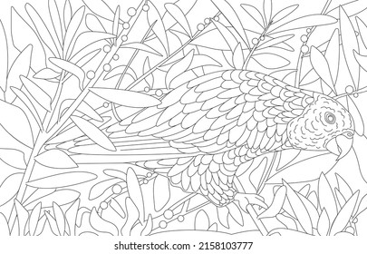 Contour linear illustration for coloring book with decorative parrot. Beautiful bird, anti stress picture. Line art design for adult or kids in zen-tangle style, tatoo and coloring page.