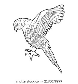 Contour linear illustration for coloring book with decorative parrot. Beautiful bird, anti stress picture. Line art design for adult or kids in zen-tangle style, tatoo and coloring page.