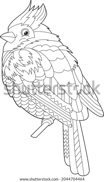 Contour linear illustration for coloring book with
decorative pretty waxwing. Beautiful cute bird,  anti stress
picture. Line art design for adult or kids  in zen-tangle style,
tatoo and coloring
page