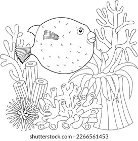 Contour linear illustration. Fish, seaweeds and ocean corals for coloring book. Cute objects, anti stress picture. Line art design for adult or kids in zentangle style and coloring page.