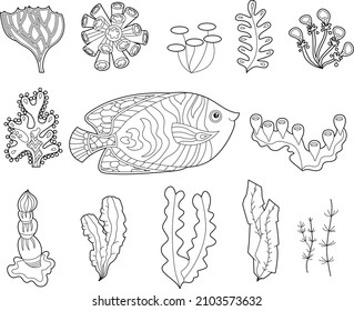 Contour linear illustration. Set  with fish and ocean corals for coloring book. Cute objects, anti stress picture. Line art design for adult or kids in zentangle style and coloring page.