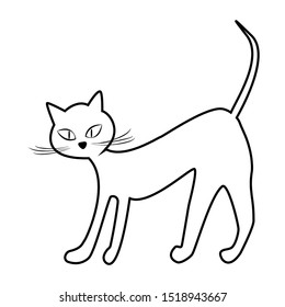 Contour lines of the cat isolate on white. Vector illustration.