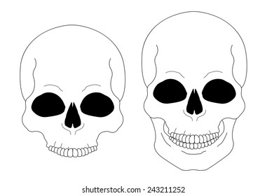 Contour lines skull vector clip art illustration isolated on white