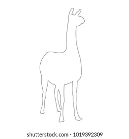 contour llama on white background