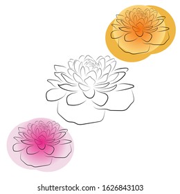 contour of a lotus flower with colored spots