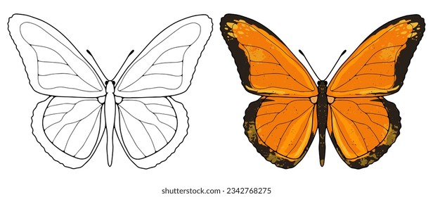 The contour of a luxurious butterfly on a white background. Colored orange butterfly on a white background. Background for coloring books, decor, wallpapers, postcards, pattern making.