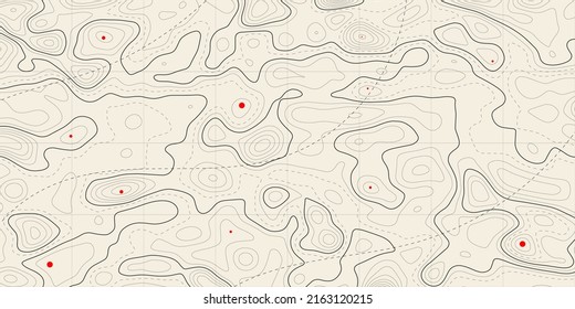 Contour map background. Vector geography scheme and terrain. Light topography grid map.