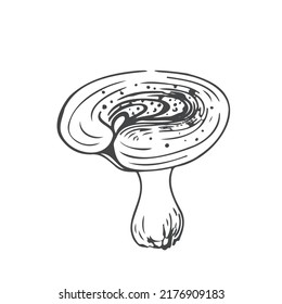 Contour mushroom vector illustration. Black line ink hand drawn sketch