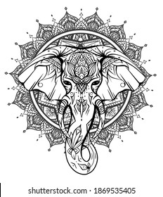 Contour native elephant head with trunk, tusks and boho ornaments on mandala background. Ganesha head with mandala. Vector silhouette for coloring pages, cards, banners and your creativity.