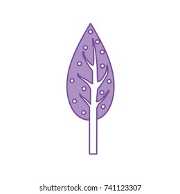 contour natual and ecological tree with branches plant