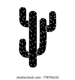 contour natural cactus summer plant desert